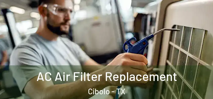 AC Air Filter Replacement Cibolo - TX