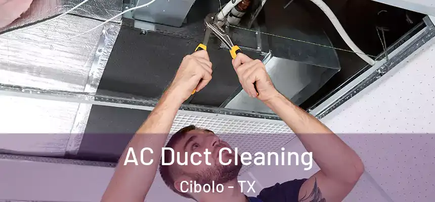 AC Duct Cleaning Cibolo - TX