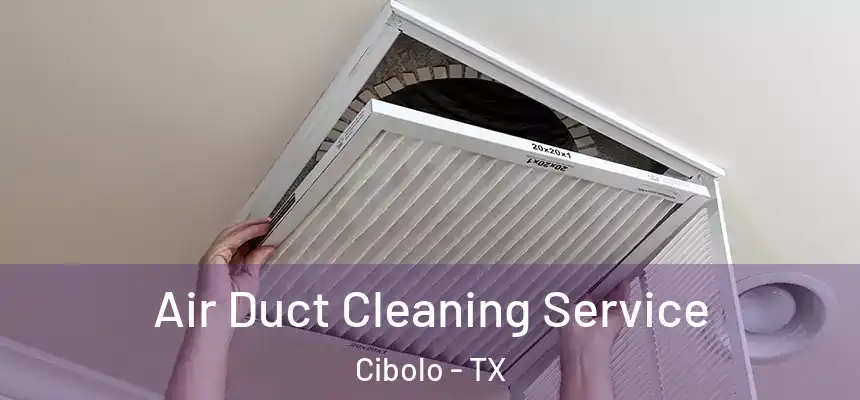  Air Duct Cleaning Service Cibolo - TX