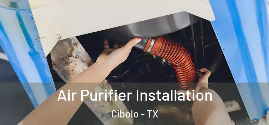 Air Purifier Installation Cibolo - TX