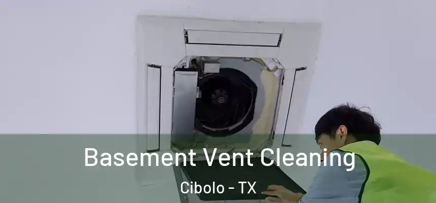 Basement Vent Cleaning Cibolo - TX