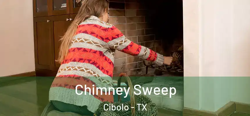 Chimney Sweep Cibolo - TX