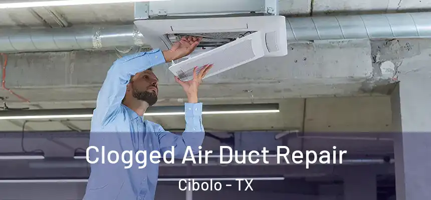  Clogged Air Duct Repair Cibolo - TX