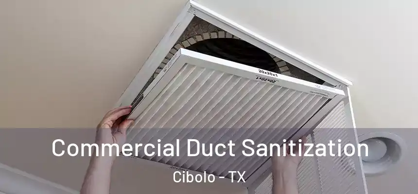 Commercial Duct Sanitization Cibolo - TX