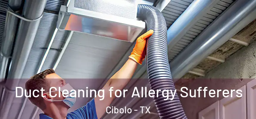  Duct Cleaning for Allergy Sufferers Cibolo - TX