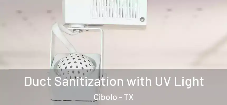 Duct Sanitization with UV Light Cibolo - TX