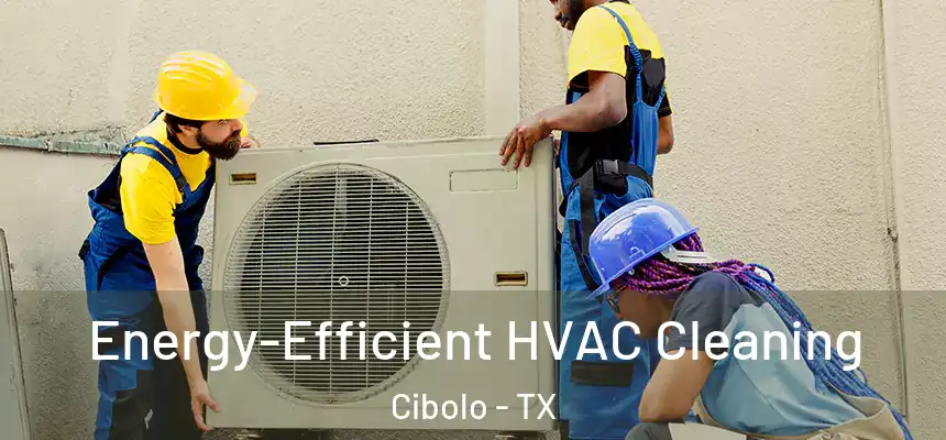 Energy-Efficient HVAC Cleaning Cibolo - TX