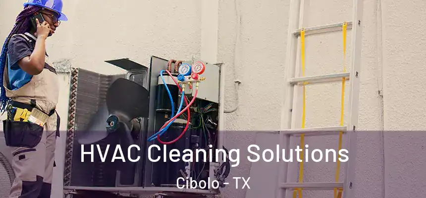  HVAC Cleaning Solutions Cibolo - TX