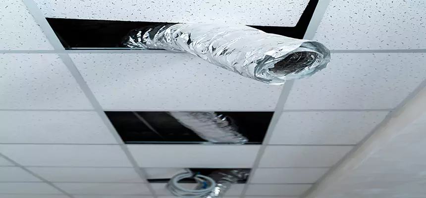 Our Air Duct Pet Hair Removal Services in Cibolo, TX