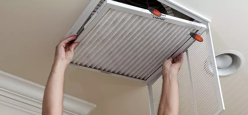 Our Insect Removal from Air Ducts Services in Cibolo, TX