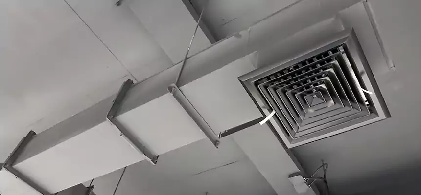 Our Rodent Droppings In Vents Services in Cibolo, TX