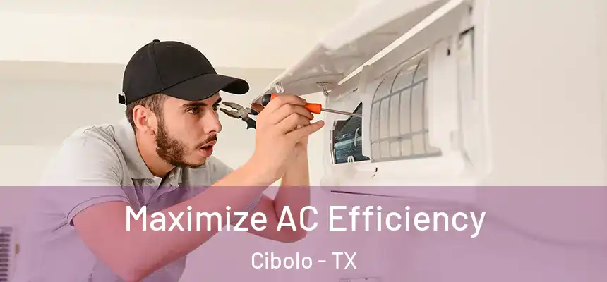 Maximize AC Efficiency Cibolo - TX