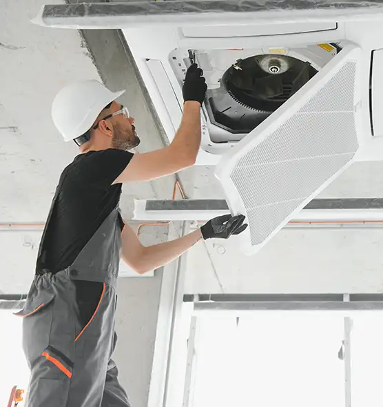 About Air Duct Rodent Removal in Cibolo, TX