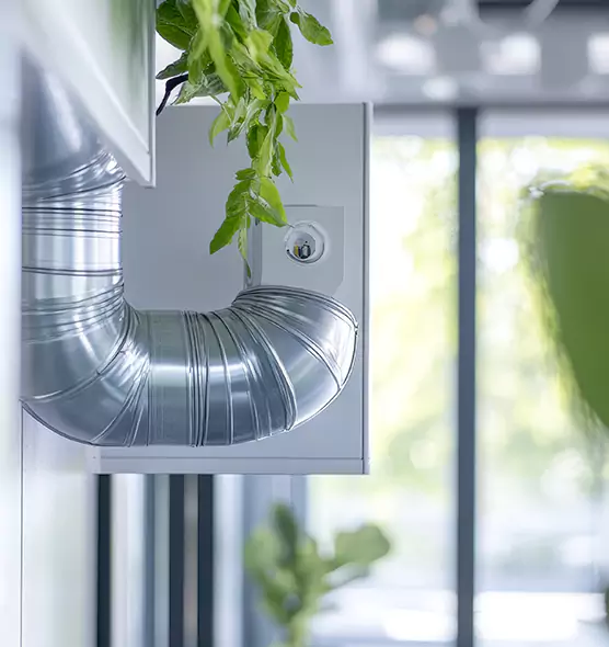 Professional Eco-Friendly Duct Cleaning Services in Cibolo, TX