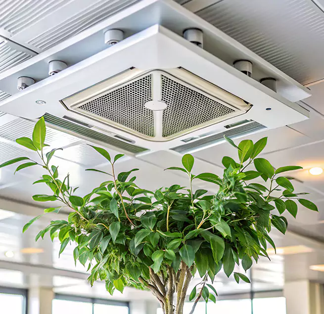 Why Homeowners & Businesses Trust Us in Cibolo, TX?