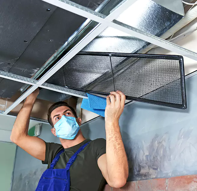  Why Homeowners Businesses Trust Us  in Cibolo, TX?