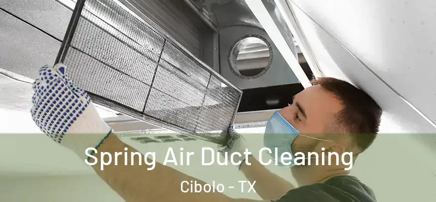 Spring Air Duct Cleaning Cibolo - TX