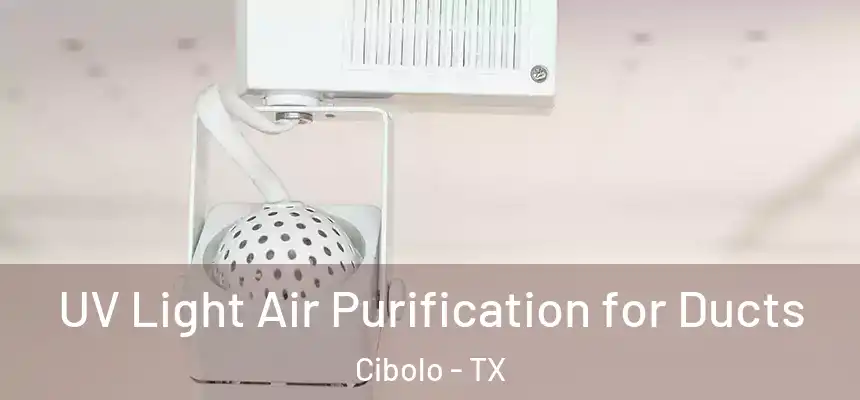  UV Light Air Purification for Ducts Cibolo - TX