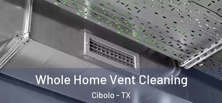 Whole Home Vent Cleaning Cibolo - TX